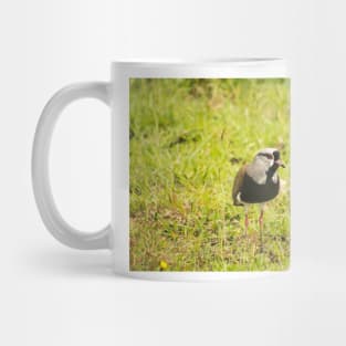 32218 lapwing Mug